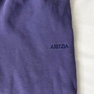 aritzia mega fit sweatpants